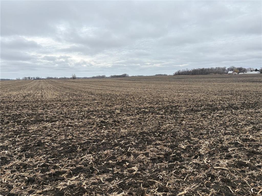 2075 80th Street SW Sparta Twp MN 56265 7034684 image24