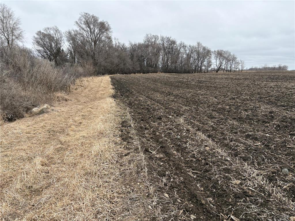 2075 80th Street SW Sparta Twp MN 56265 7034684 image3