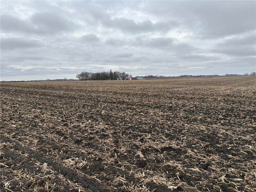 2075 80th Street SW Sparta Twp MN 56265 7034684 image30
