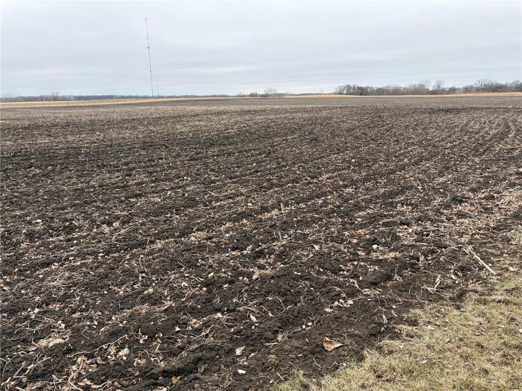 2075 80th Street SW Sparta Twp MN 56265 7034684 image32