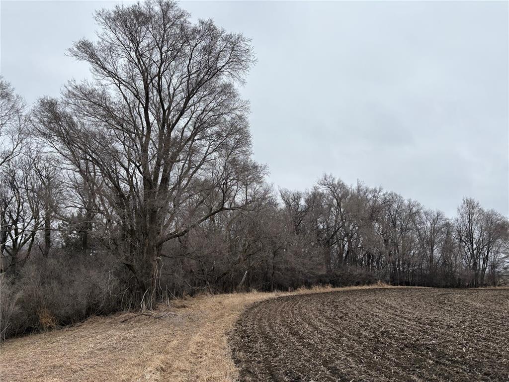 2075 80th Street SW Sparta Twp MN 56265 7034684 image34