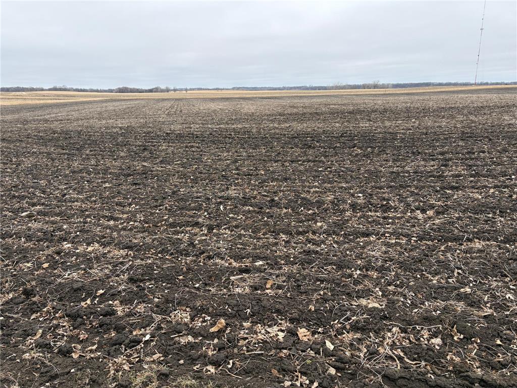 2075 80th Street SW Sparta Twp MN 56265 7034684 image35