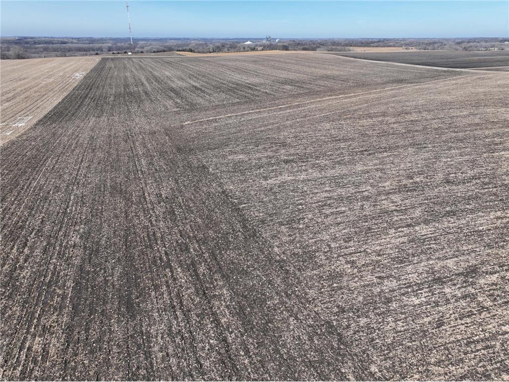 2075 80th Street SW Sparta Twp MN 56265 7034684 image4