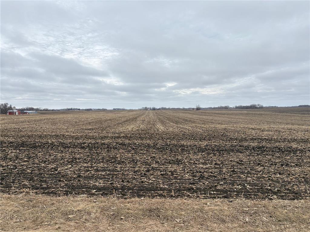 2075 80th Street SW Sparta Twp MN 56265 7034684 image44