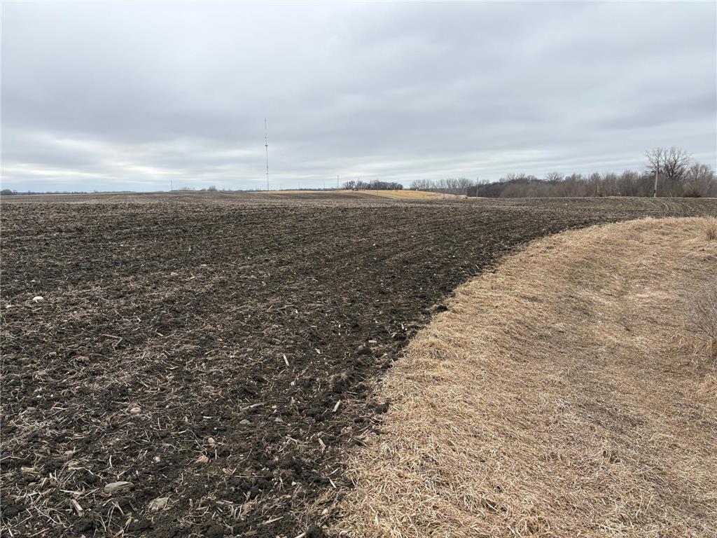 2075 80th Street SW Sparta Twp MN 56265 7034684 image8