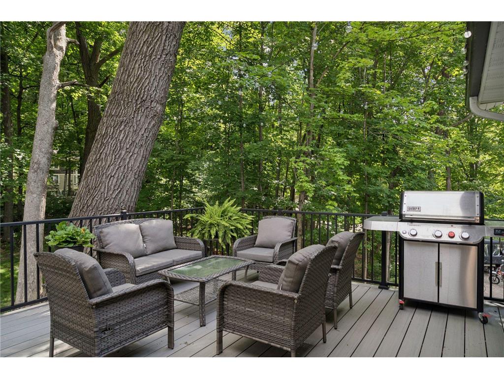 20750 Garden Road Shorewood MN 55331 7098186 image19