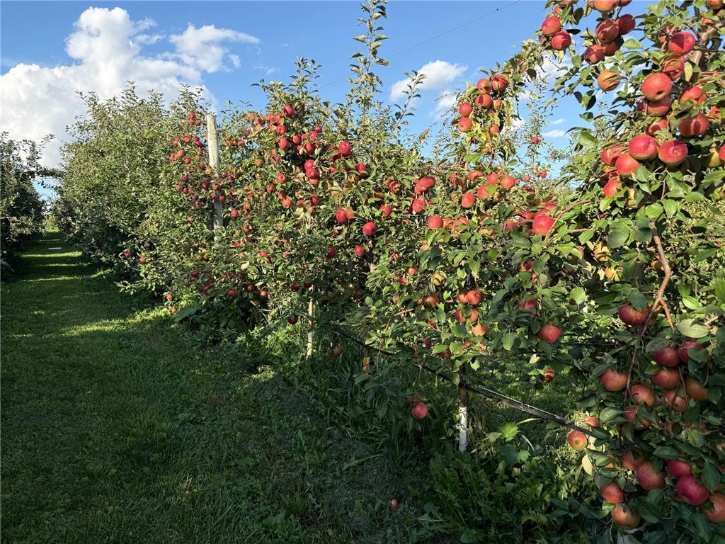 20758 528th Avenue Lake Crystal MN 56055 6817972 image10