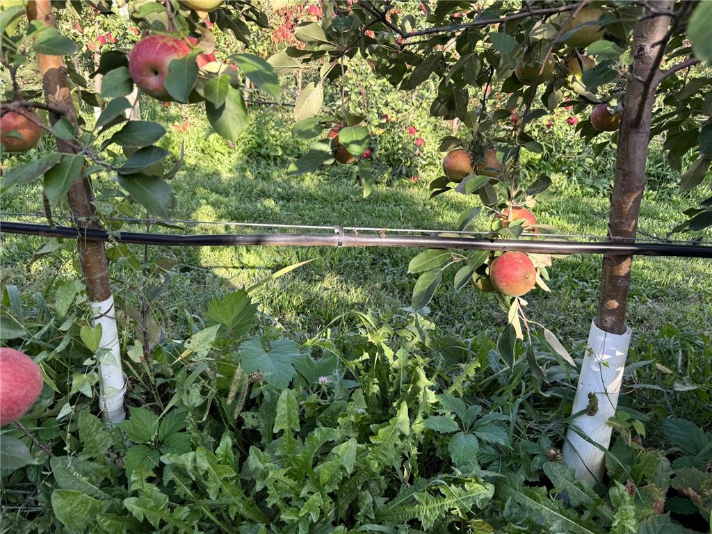 20758 528th Avenue Lake Crystal MN 56055 6817972 image11