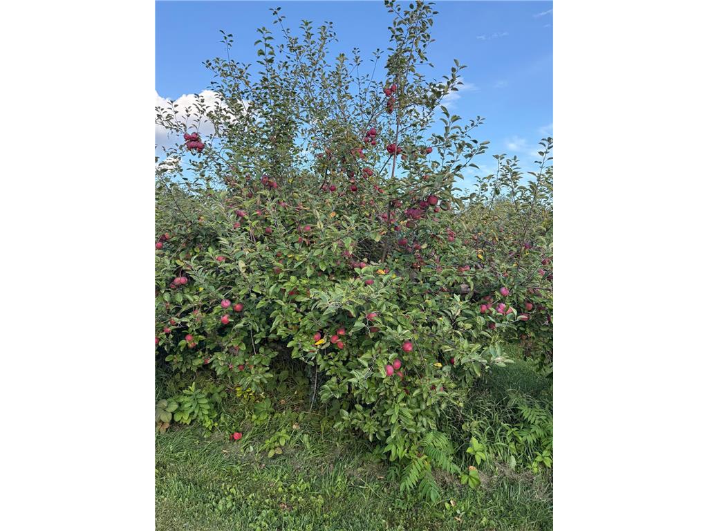 20758 528th Avenue Lake Crystal MN 56055 6817972 image13