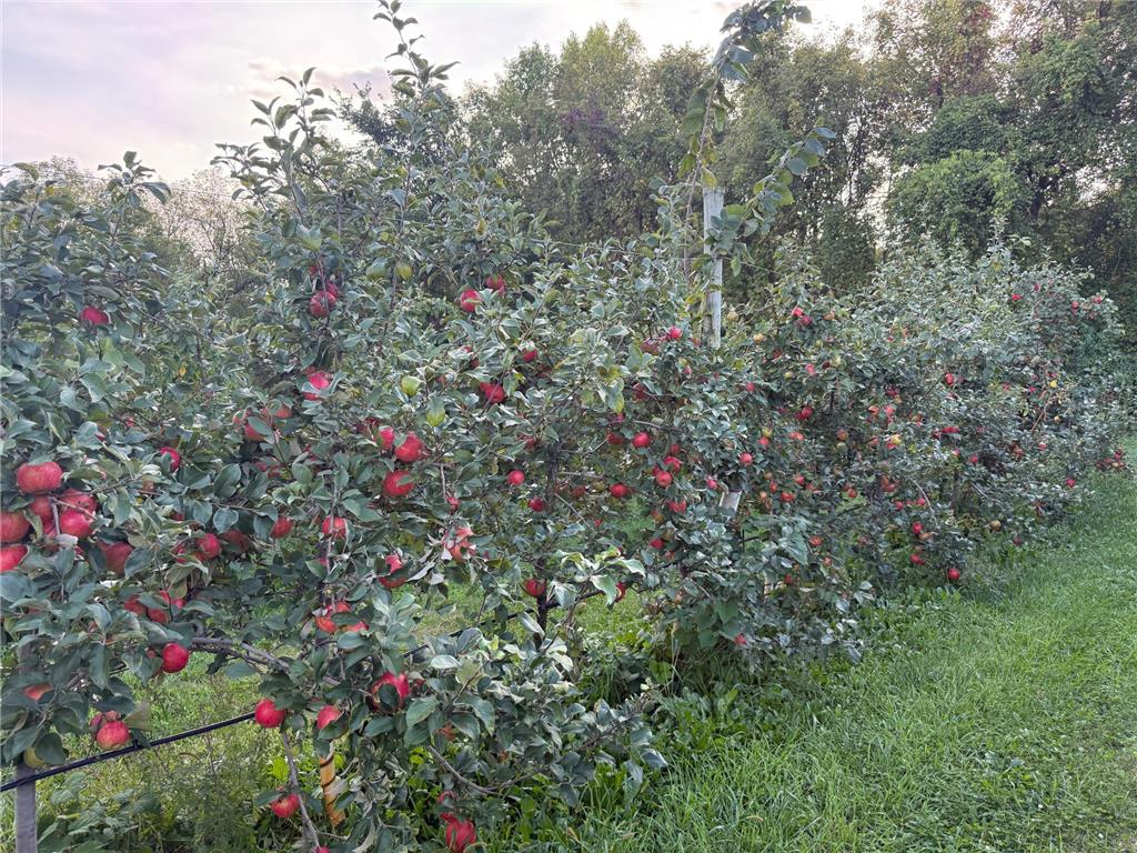 20758 528th Avenue Lake Crystal MN 56055 6817972 image16