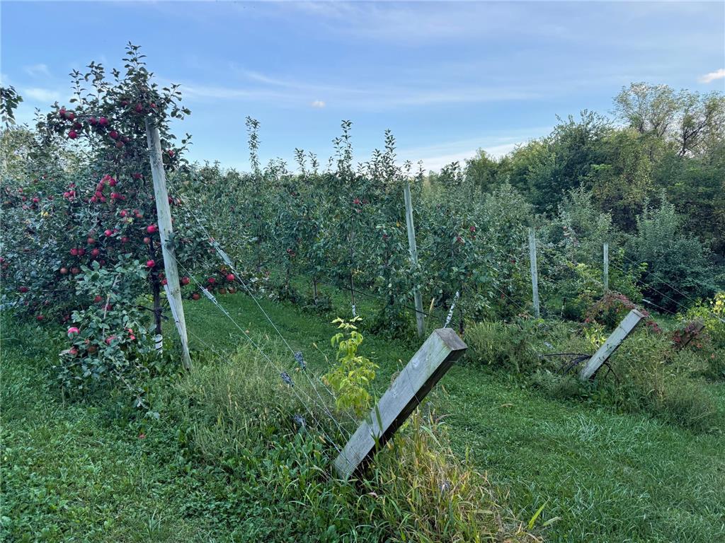 20758 528th Avenue Lake Crystal MN 56055 6817972 image17