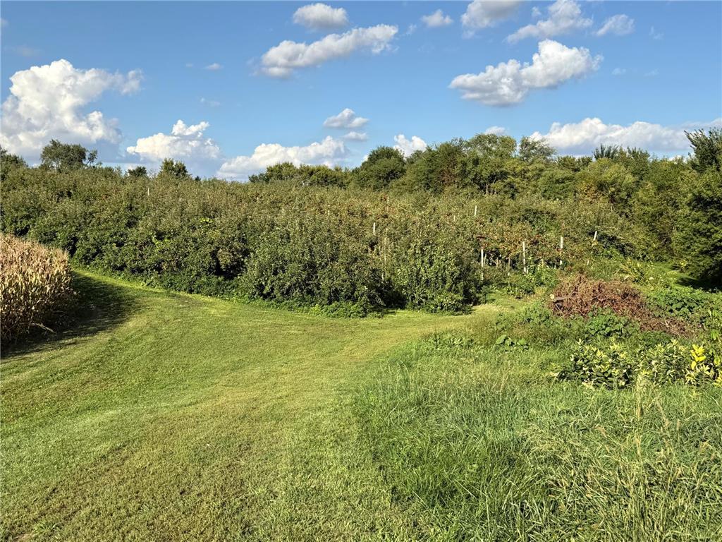 20758 528th Avenue Lake Crystal MN 56055 6817972 image8