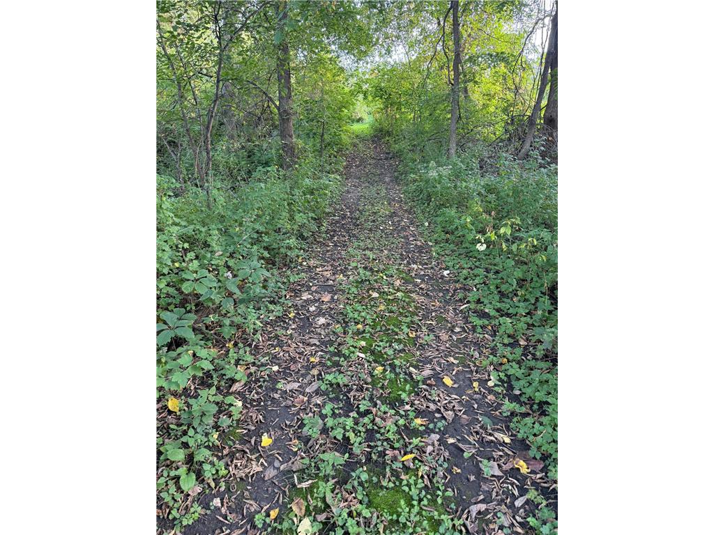 20758 528th Avenue Lake Crystal MN 56055 7087138 image14