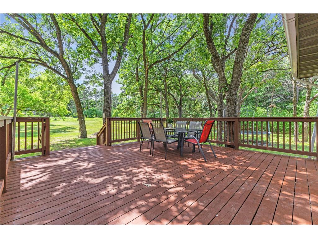208 97th Avenue NW Coon Rapids MN 55433 7099712 image31