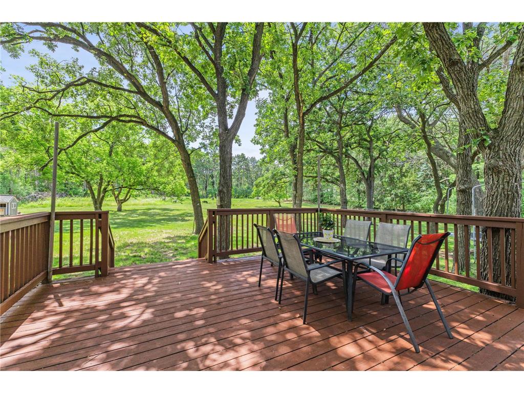 208 97th Avenue NW Coon Rapids MN 55433 7099712 image32