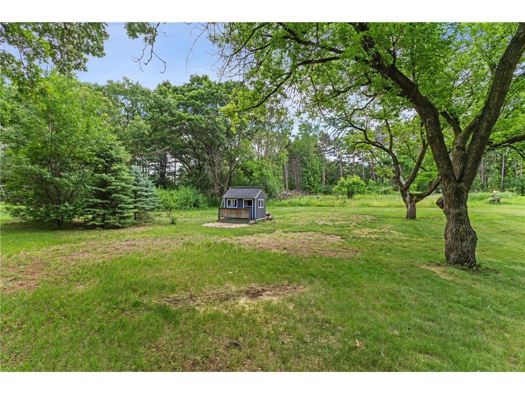 208 97th Avenue NW Coon Rapids MN 55433 7099712 image39