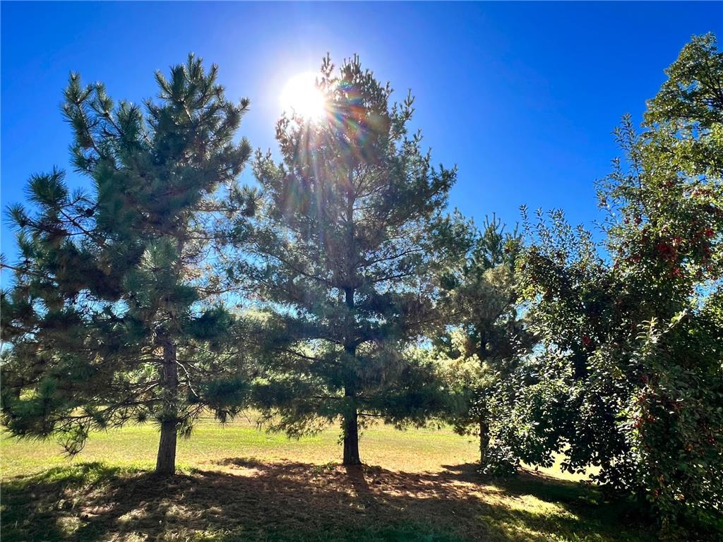 208 Hilltop Road Ottertail MN 56571 6795817 image56