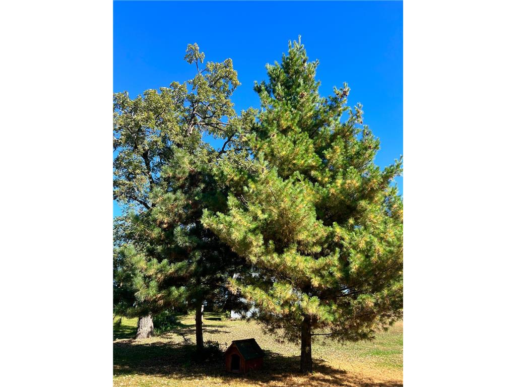 208 Hilltop Road Ottertail MN 56571 6795817 image57