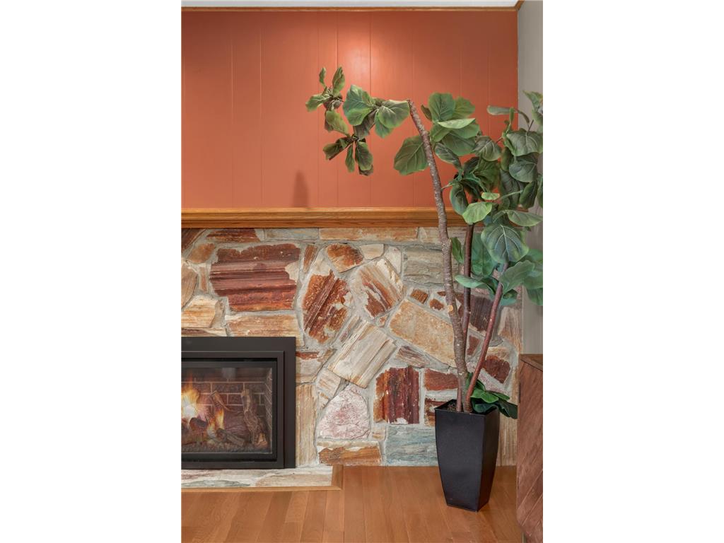 2080 Kelly Drive Golden Valley MN 55427 7062776 image30