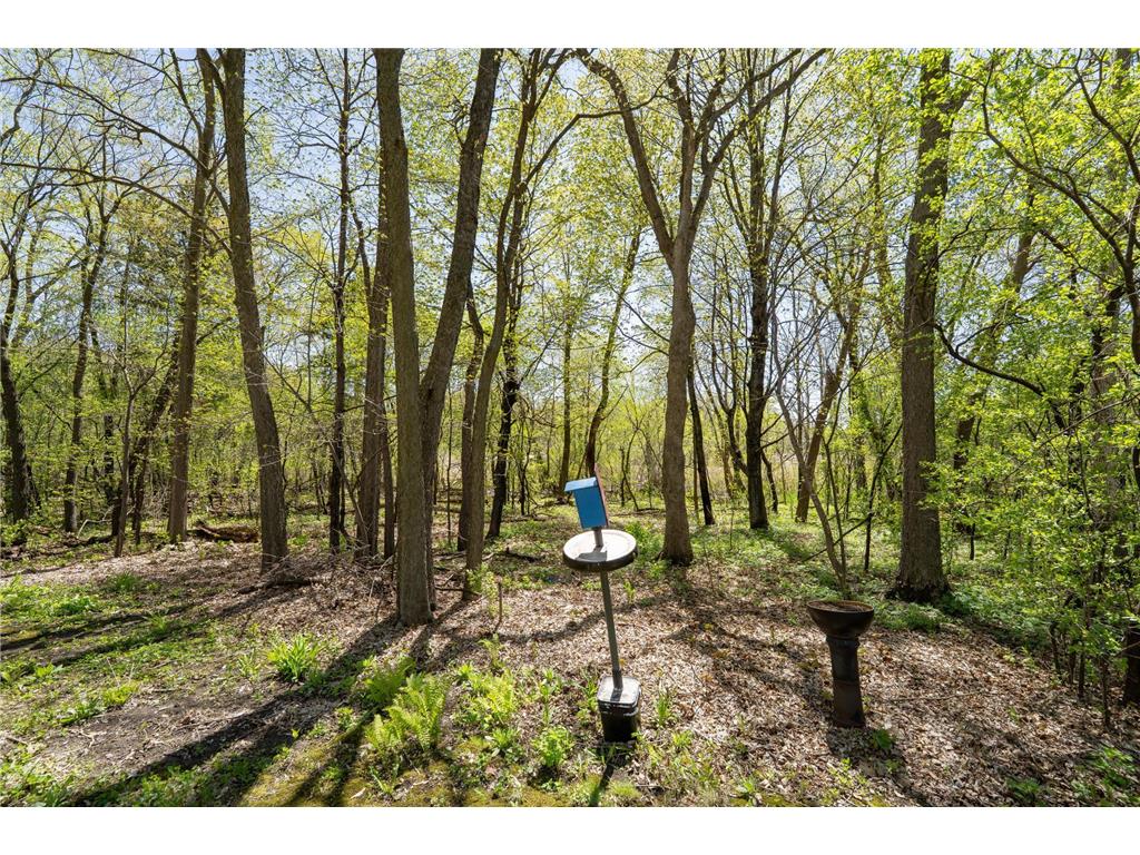 20810 Parkfield Avenue Jordan MN 55352 7070626 image19