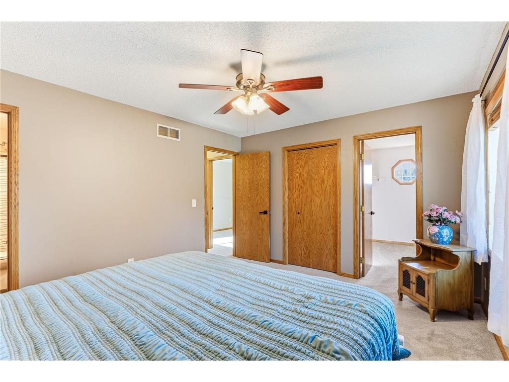 20828 Iran Avenue Lakeville MN 55044 7048216 image19