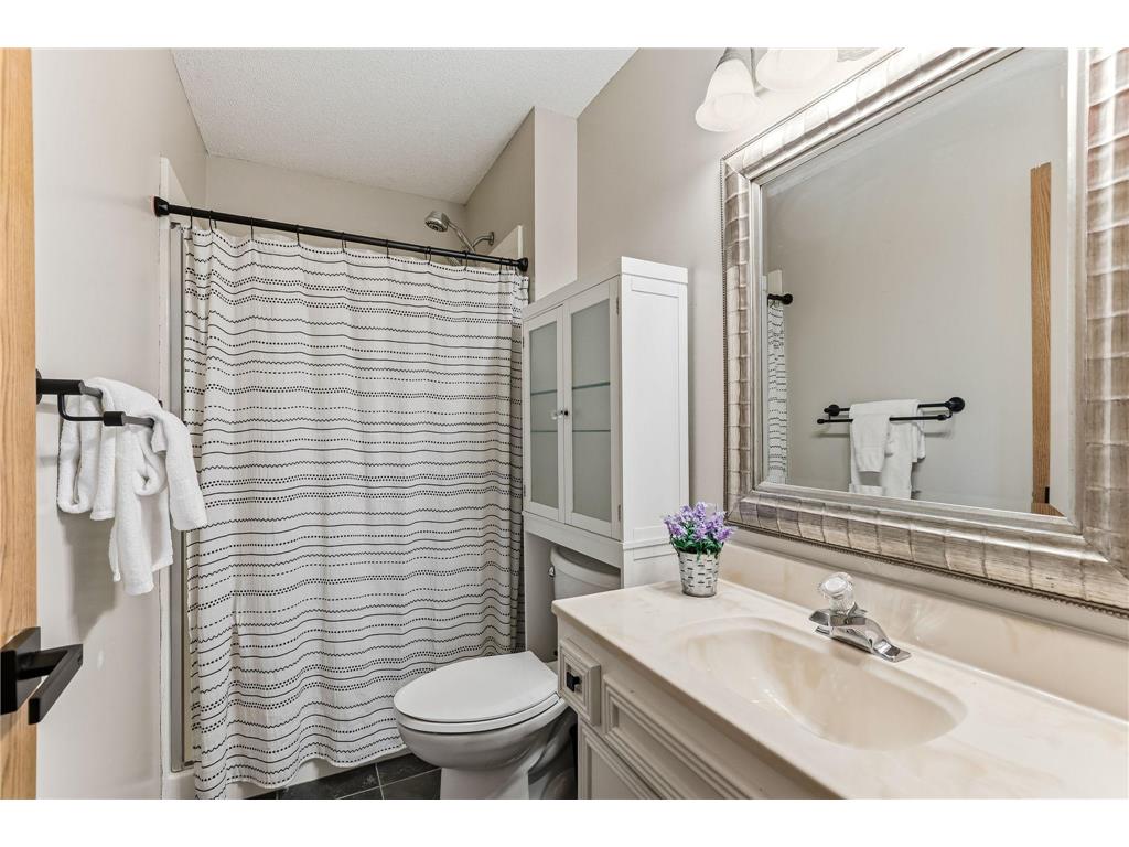 20828 Iran Avenue Lakeville MN 55044 7048216 image21