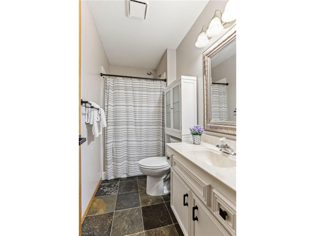 20828 Iran Avenue Lakeville MN 55044 7048216 image22