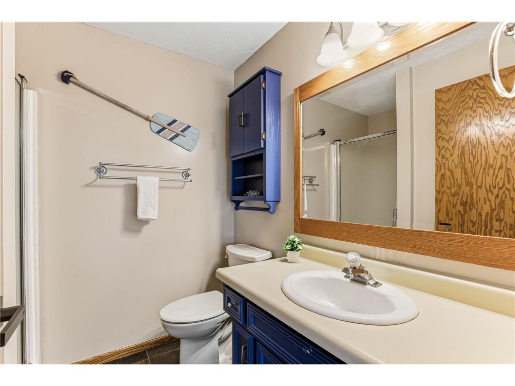 20828 Iran Avenue Lakeville MN 55044 7048216 image31