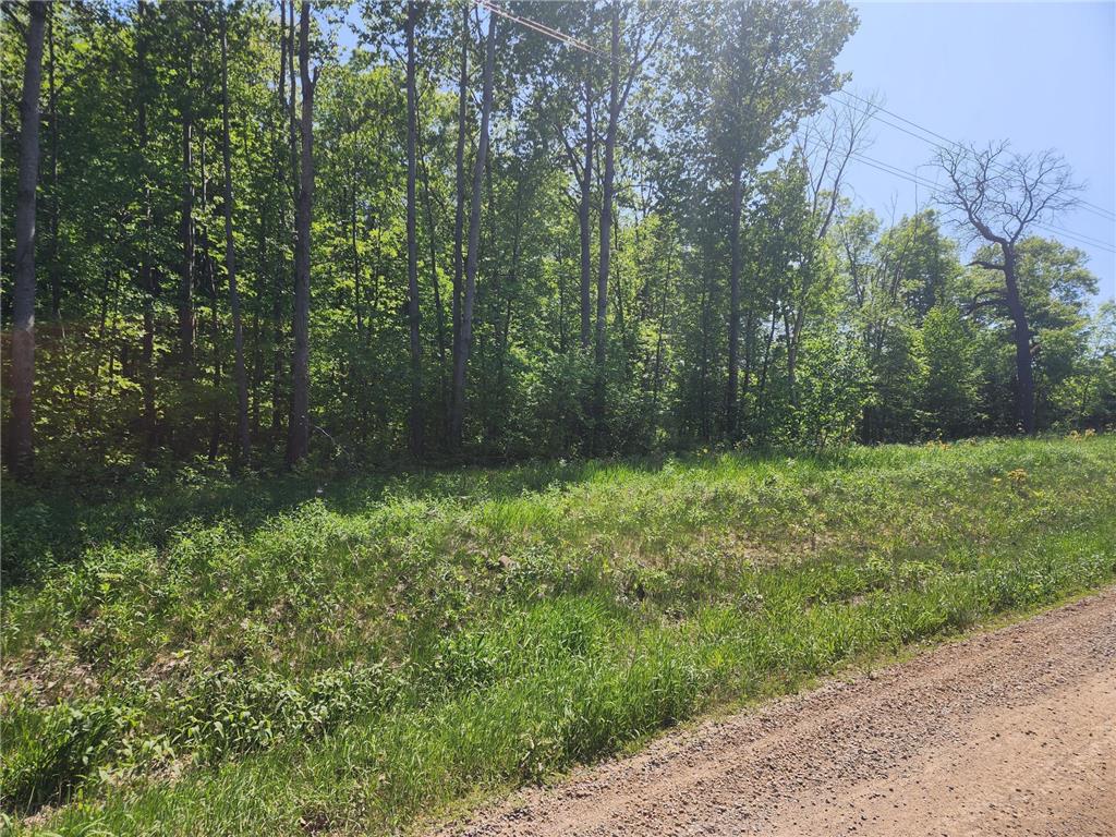 20849 Fitz Road Burnhamville Twp MN 56318 6375674 image1