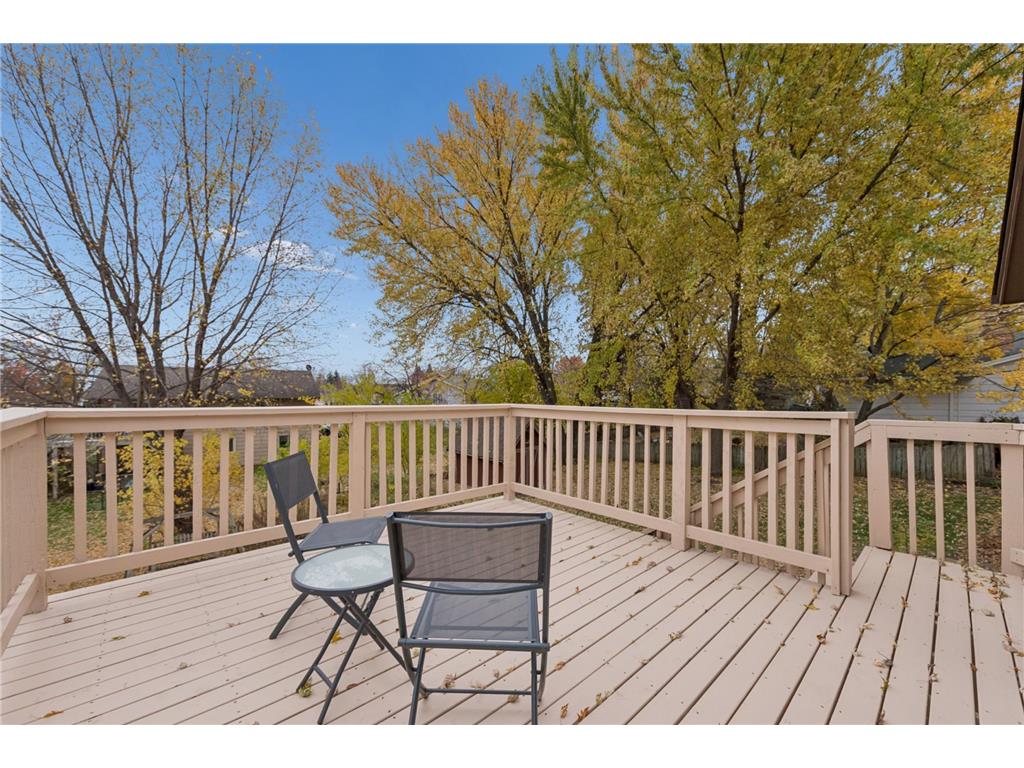 20856 Iran Avenue Lakeville MN 55044 7053588 image19