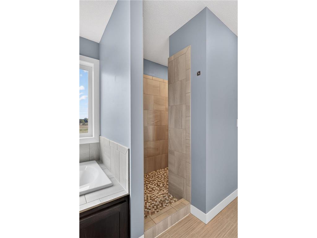 2086 Chestnut St Lino Lakes MN 55038 7056153 image30