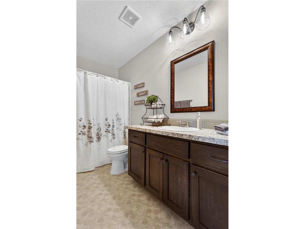 2086 Chestnut St Lino Lakes MN 55038 7056153 image38