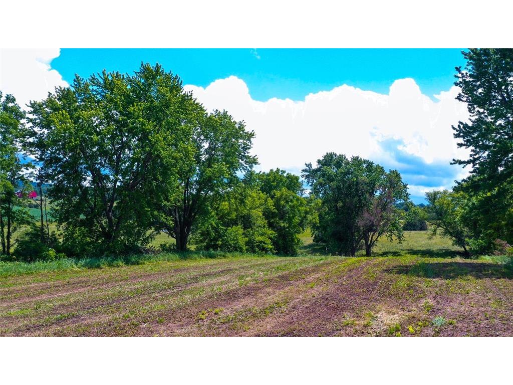 20860 Grosbeak Road Amherst Twp MN 55949 - Duschee Creek 7100753 image8