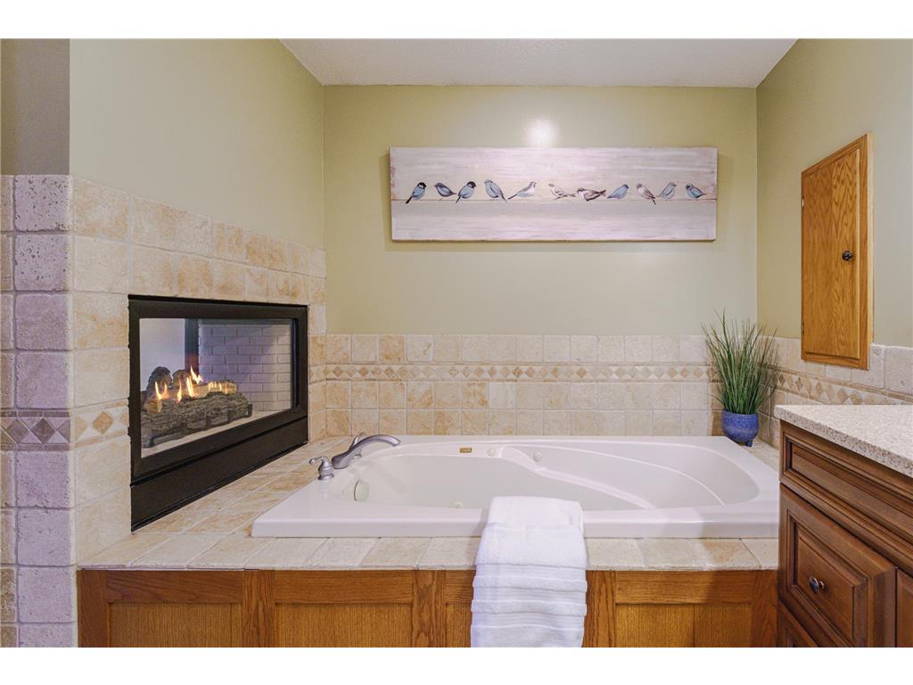 20881 Lake Ridge Drive Prior Lake MN 55372 7086987 image24