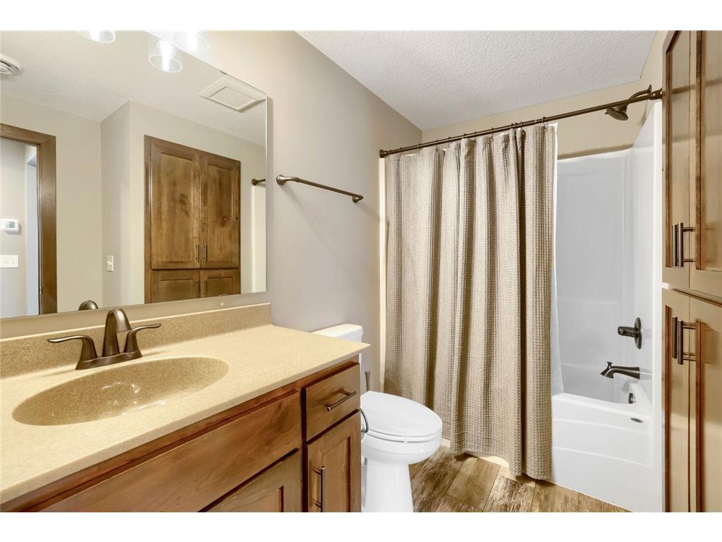 20883 Peony Lane Rogers MN 55374 7053016 image22
