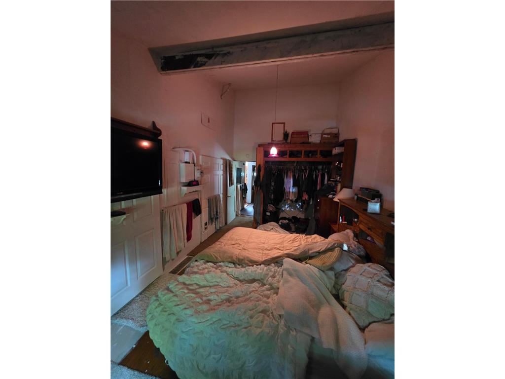 20885 Leona Beach Road Erie Twp MN 56578 - Cotton 7087064 image38