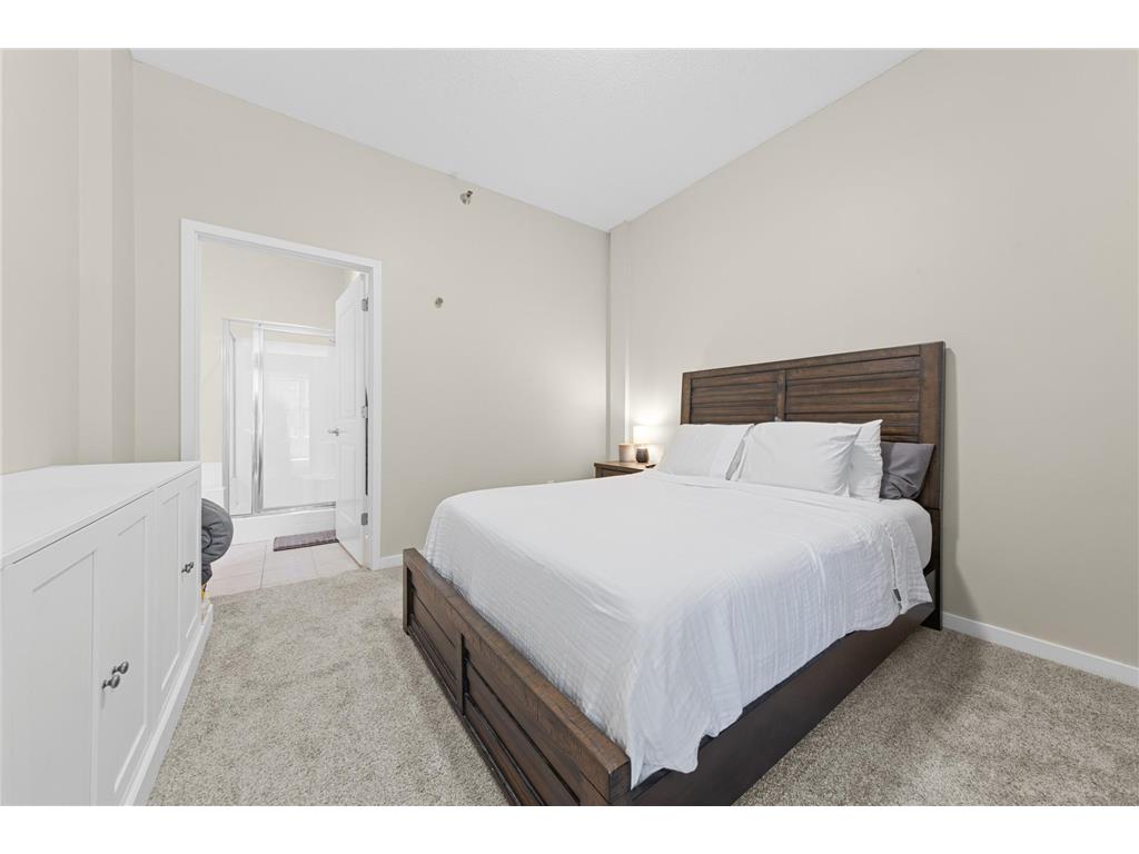 209 8th Street E #305 Saint Paul MN 55101 7088972 image19