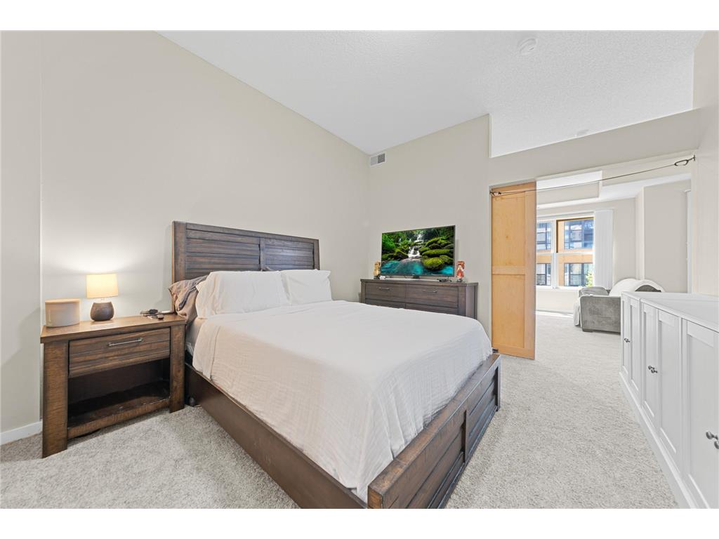 209 8th Street E #305 Saint Paul MN 55101 7088972 image20