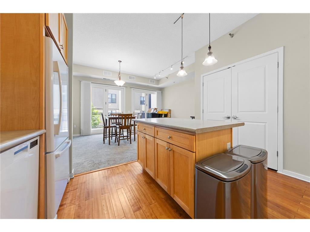 209 8th Street E #305 Saint Paul MN 55101 7088972 image6