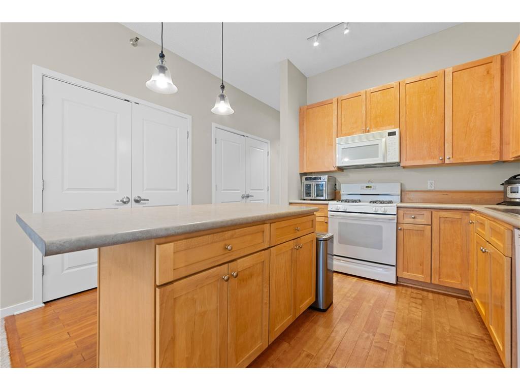 209 8th Street E #305 Saint Paul MN 55101 7088972 image8