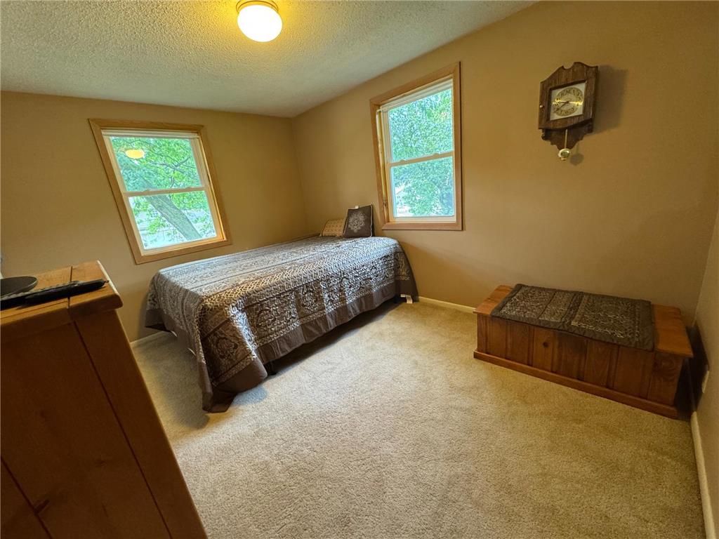 209 Burr Oak Drive Albert Lea MN 56007 7053707 image20