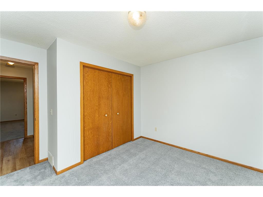 209 E Henry Street Le Roy MN 55951 6806049 image18