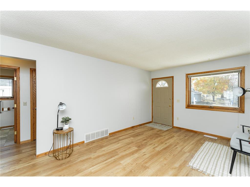 209 E Henry Street Le Roy MN 55951 6806049 image2