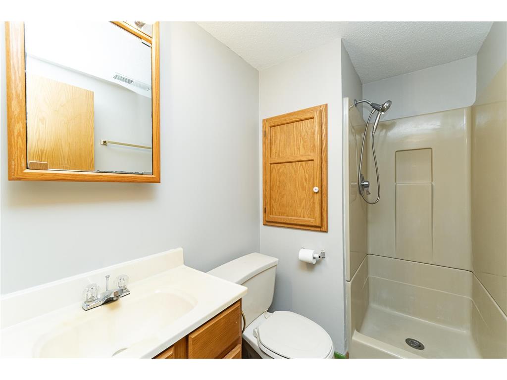 209 E Henry Street Le Roy MN 55951 6806049 image23