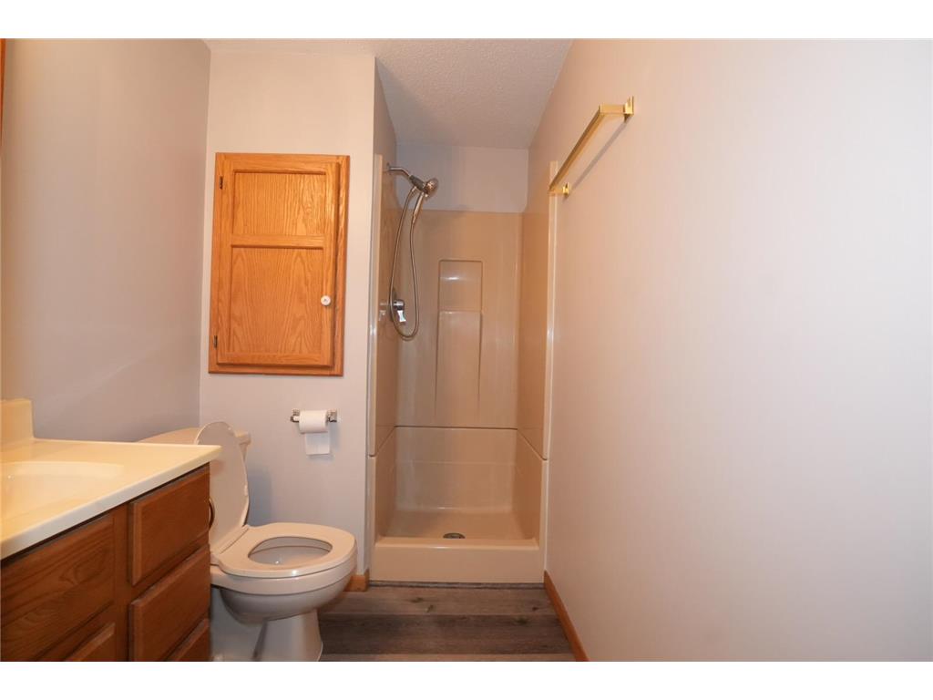 209 E Henry Street Le Roy MN 55951 6806049 image28