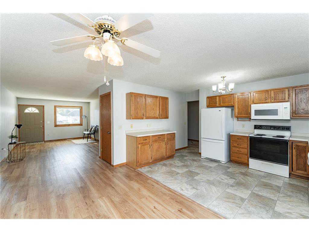 209 E Henry Street Le Roy MN 55951 6806049 image4