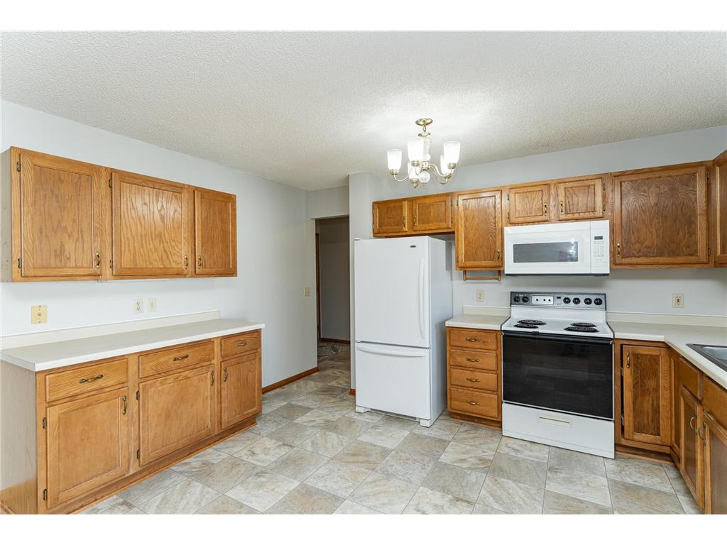 209 E Henry Street Le Roy MN 55951 6806049 image7