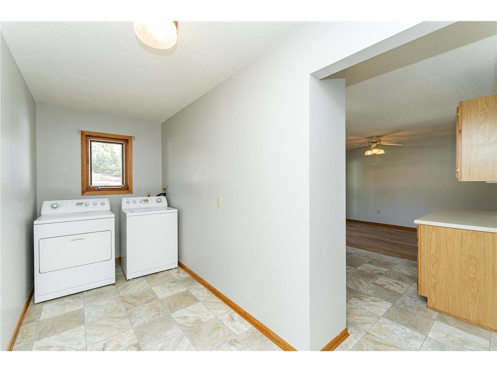 209 E Henry Street Le Roy MN 55951 6806049 image9