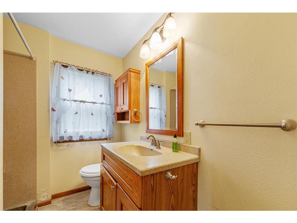 209 E Main Street Arlington MN 55307 6719323 image21