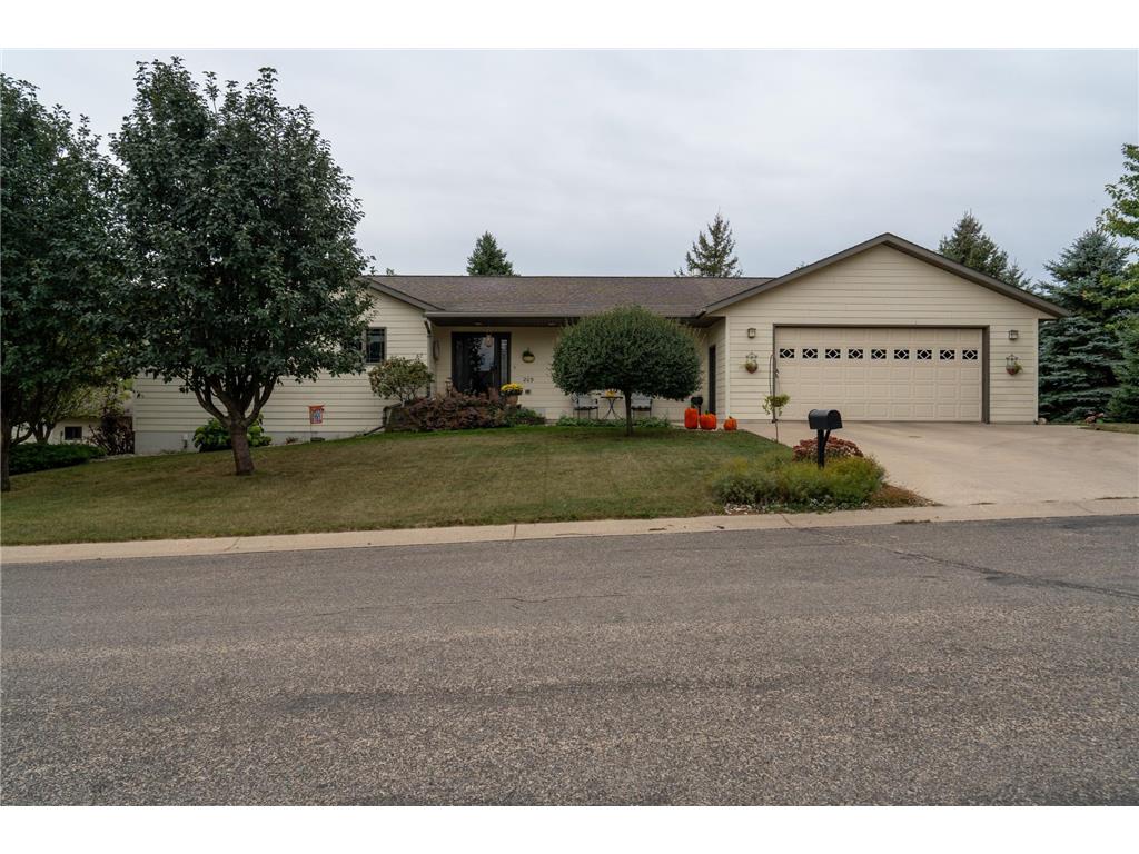 209 Lee Street Tyler MN 56178 6438207 image1